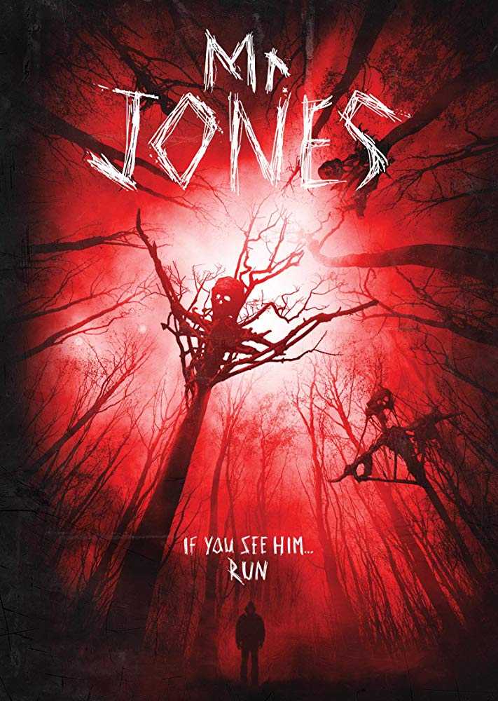 مشاهدة فيلم Mr. Jones 2013 مترجم