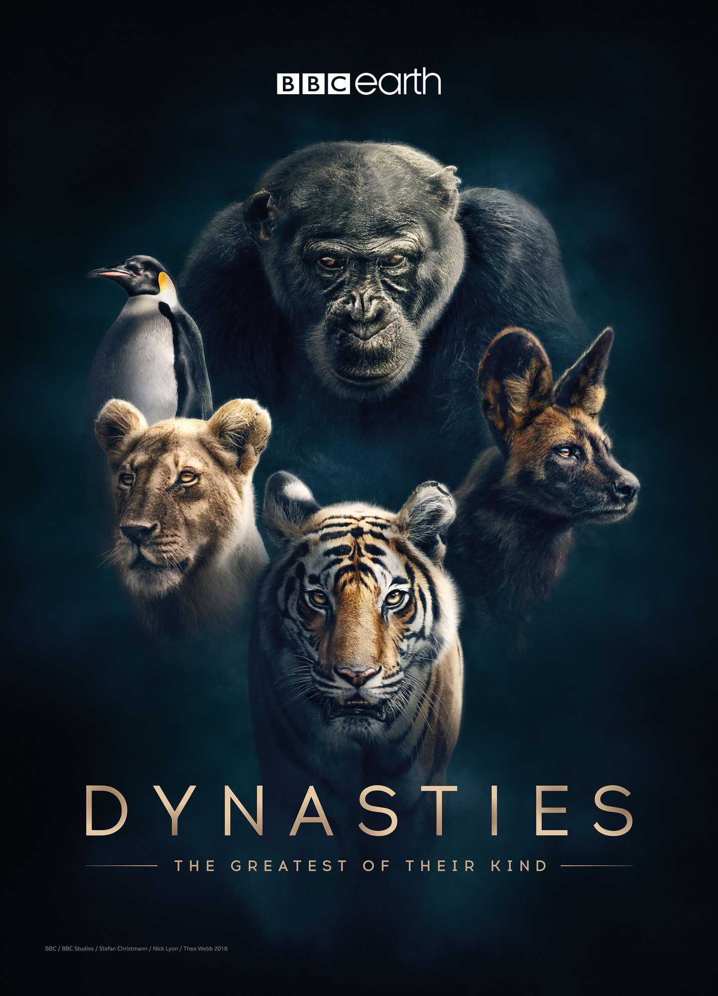 مشاهدة مسلسل Dynasties موسم 1 حلقة 1