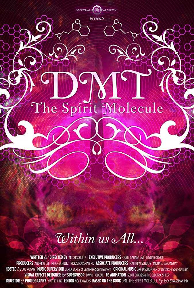 مشاهدة فيلم DMT The Spirit Molecule 2010 مترجم