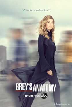 مشاهدة مسلسل Greys Anatomy موسم 16 حلقة 16