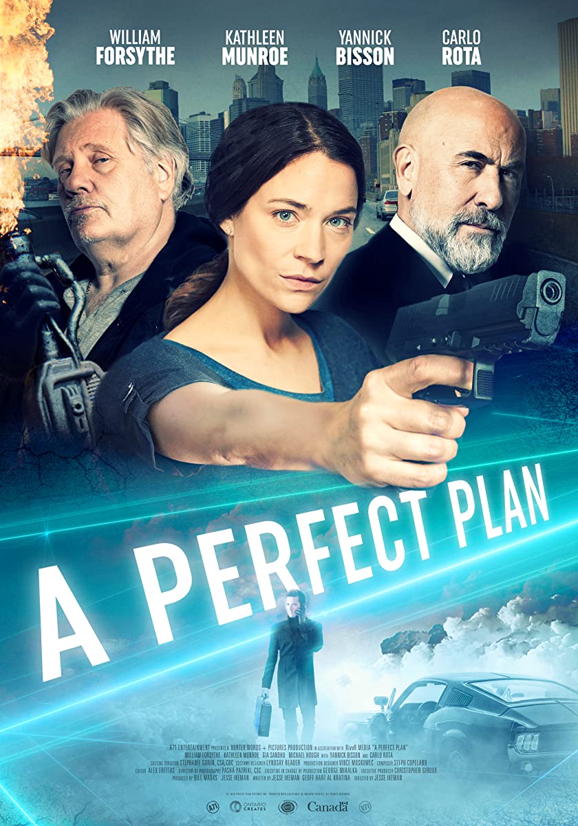 مشاهدة فيلم A Perfect Plan 2020 مترجم