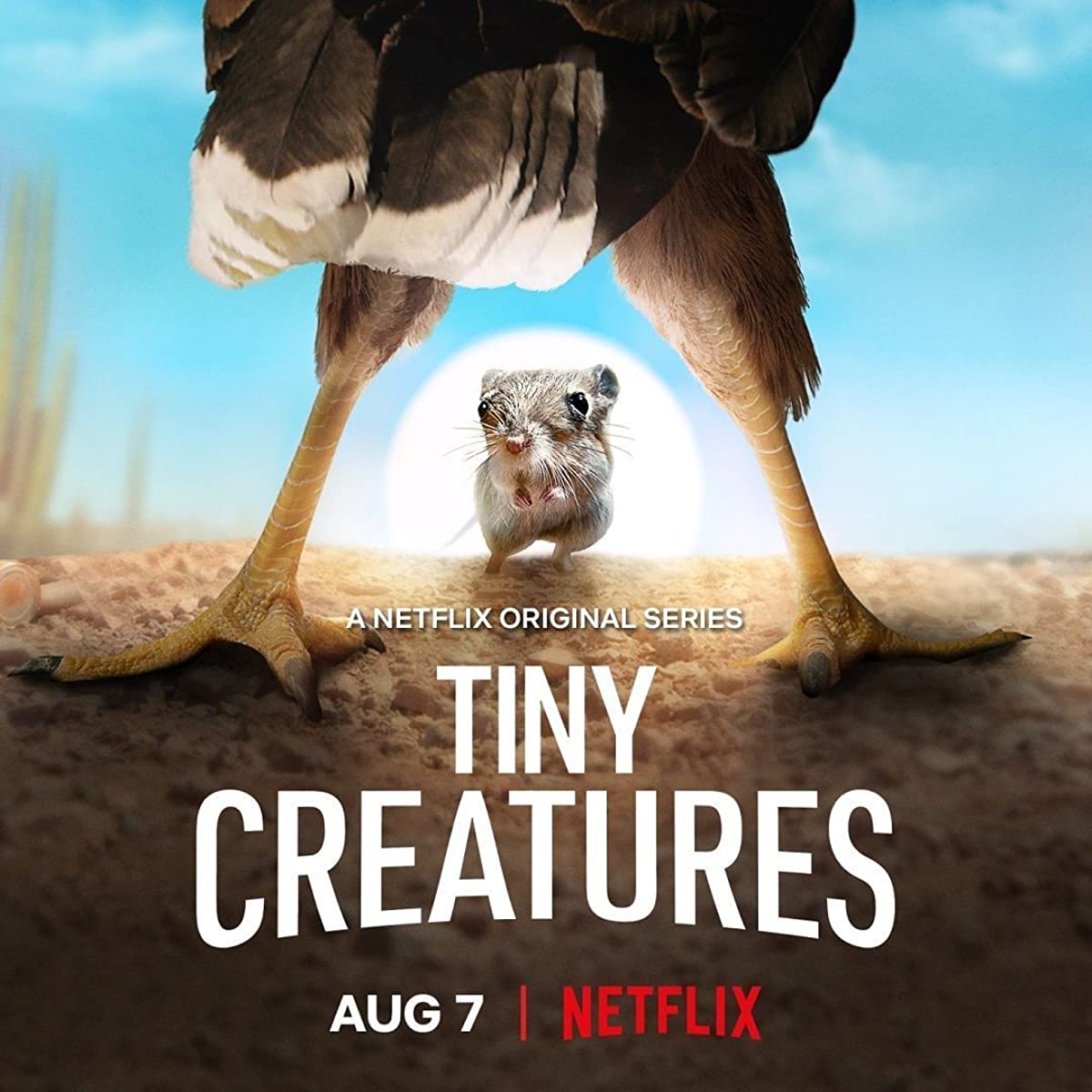 مشاهدة مسلسل Tiny Creatures موسم 1 حلقة 3