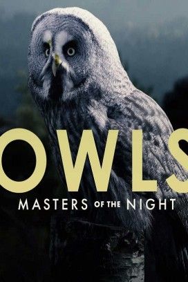 مشاهدة فيلم The Secret Life of Owls 2017 مترجم