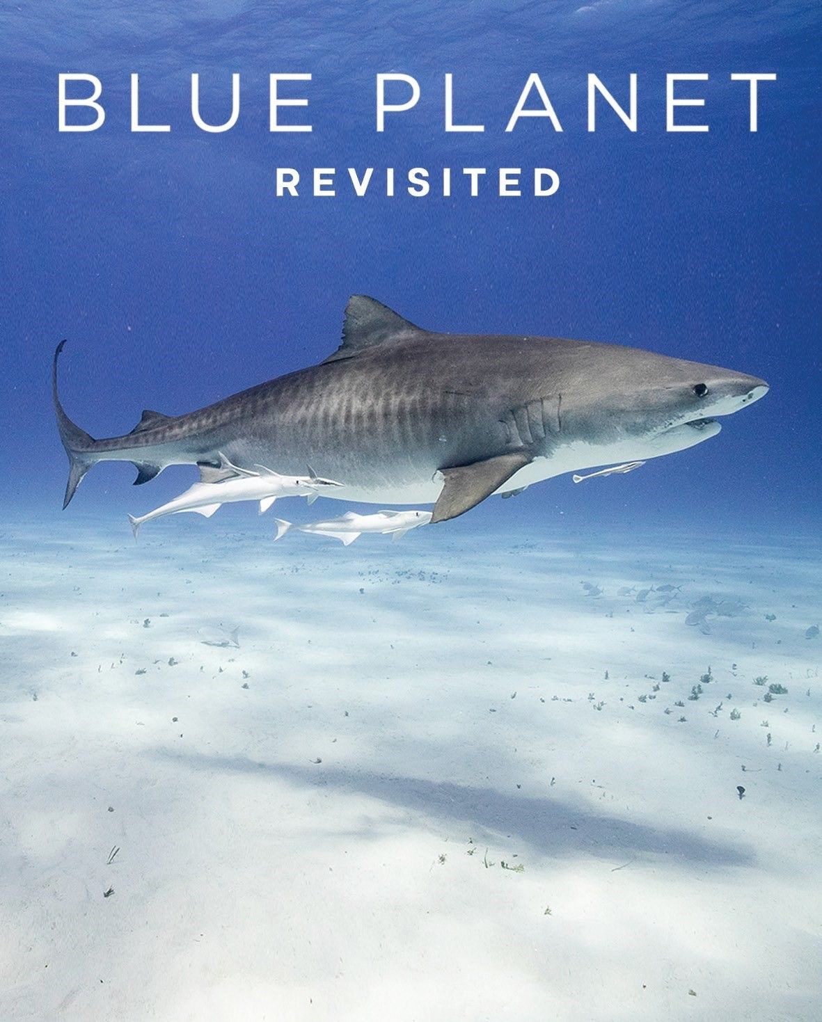 مشاهدة فيلم Blue Planet Revisited 2020 الجزء الثاني مترجم