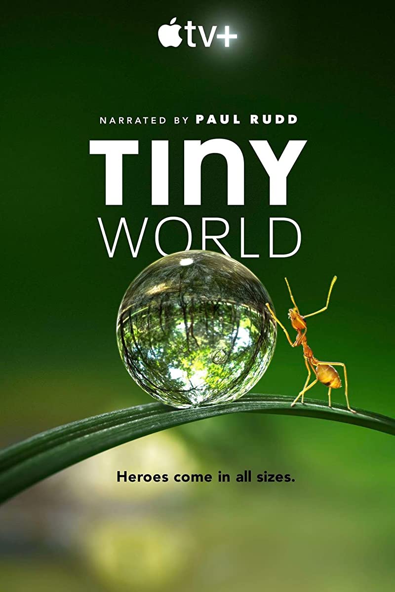 مشاهدة مسلسل Tiny World موسم 1 حلقة 2