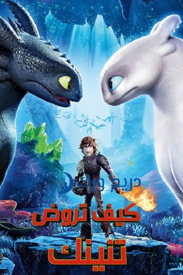 مشاهدة فيلم How to Train Your Dragon: The Hidden World 2019 مدبلج