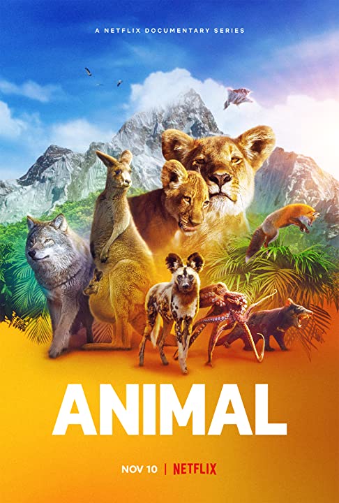 مشاهدة مسلسل Animal موسم 1 حلقة 3