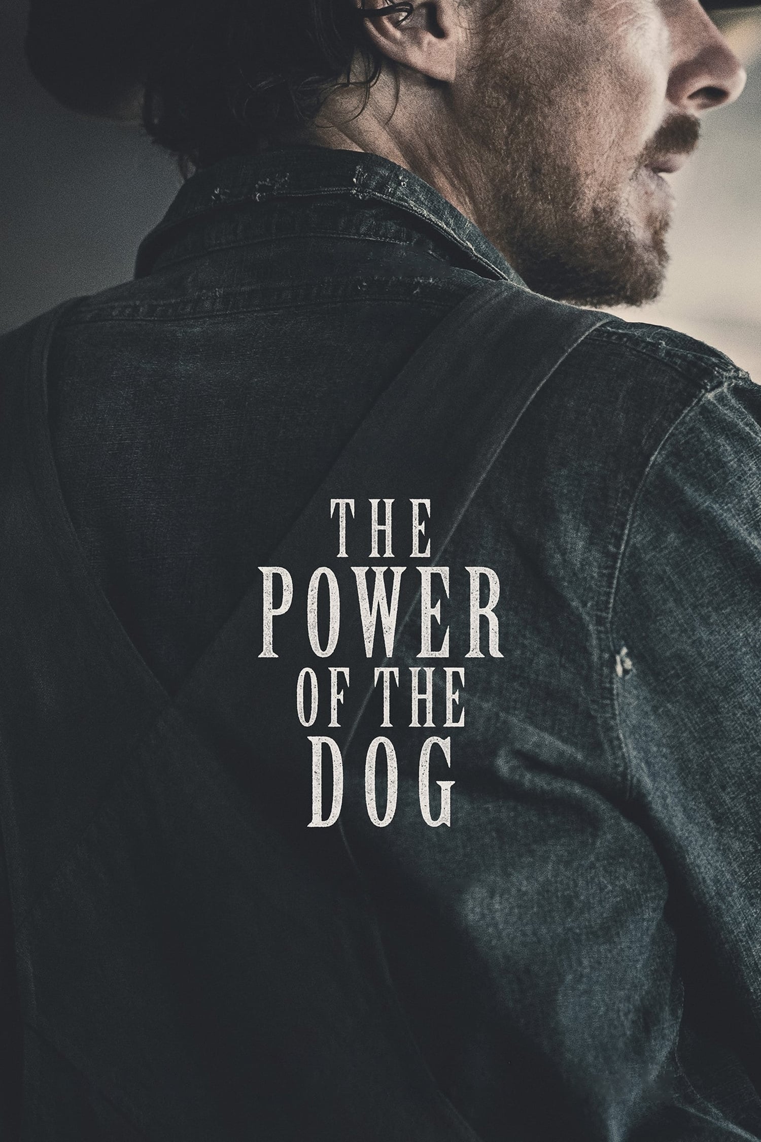 مشاهدة فيلم The Power of the Dog 2021 مترجم