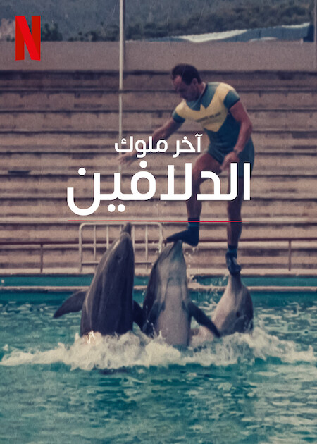 مشاهدة فيلم The Last Dolphin King 2022 مترجم