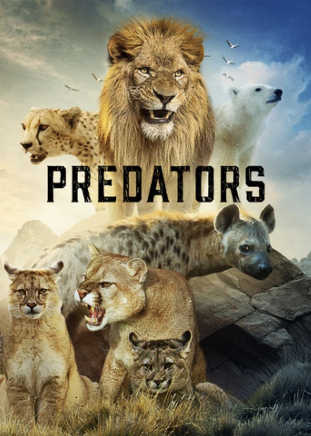 مشاهدة مسلسل Predators موسم 1 حلقة 5 والأخيرة