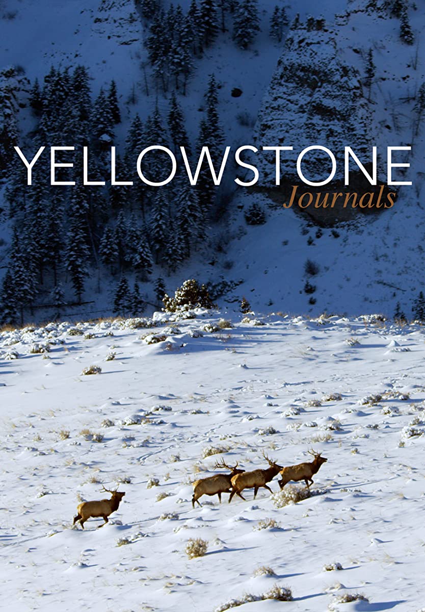 مسلسل Yellowstone موسم 5 حلقة 14 والاخيرة